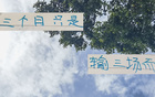 申花8月前僅敗三場，顯露霸氣。