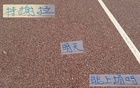 申花喜訊：朱辰杰現(xiàn)身訓(xùn)練，特謝拉缺席德比。