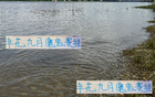 申花九月抉擇：聯(lián)賽亞冠難兩全，需擇一而攻。