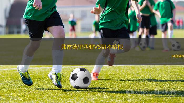 弗雷德里西亞VS哥本哈根