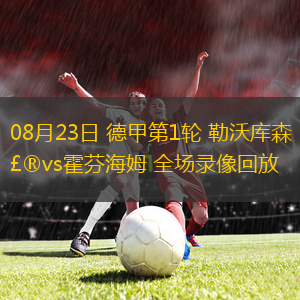 08月23日 德甲第1輪 勒沃庫(kù)森vs霍芬海姆 全場(chǎng)錄像回放