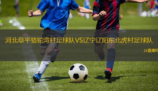 河北阜平駱駝灣村足球隊(duì)VS遼寧遼陽(yáng)東北虎村足球隊(duì)