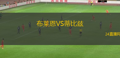 布萊恩VS蒂比茲
