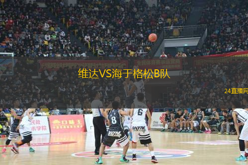 維達VS海于格松B隊