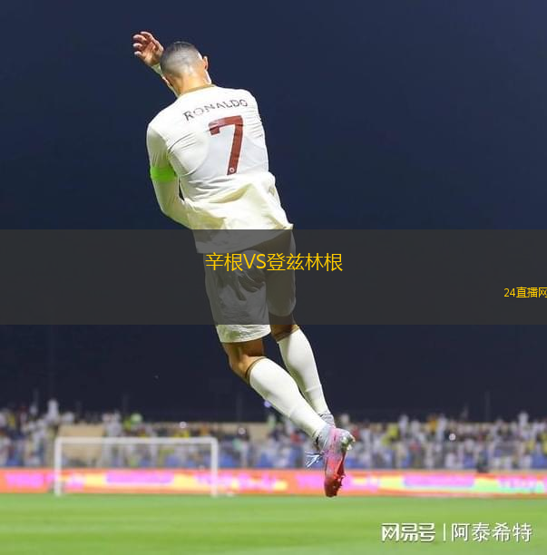 辛根VS登茲林根