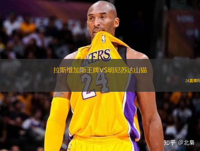 拉斯維加斯王牌VS明尼蘇達(dá)山貓