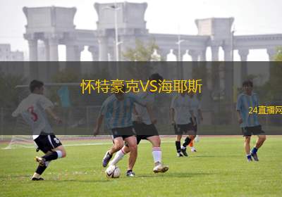 懷特豪克VS海耶斯