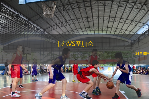 韋爾VS圣加侖