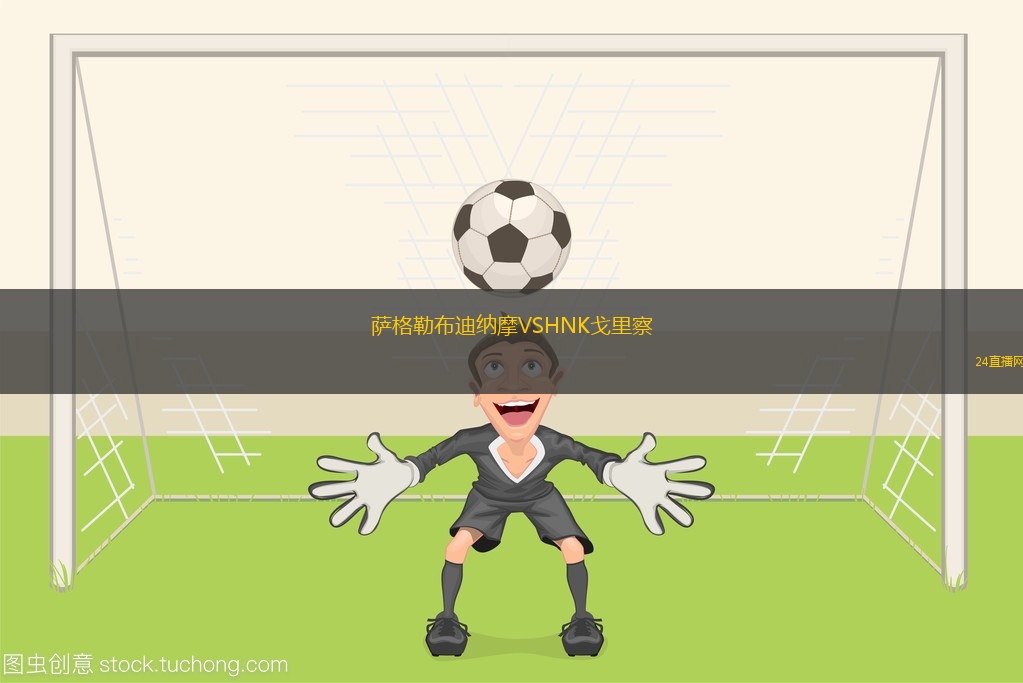 薩格勒布迪納摩VSHNK戈里察