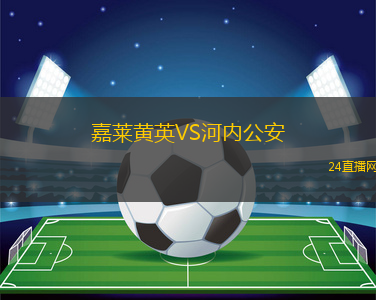 嘉萊黃英VS河內(nèi)公安